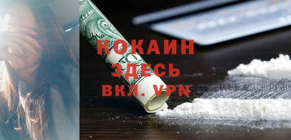 прущая мука Горняк
